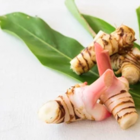 Generic placeholder image